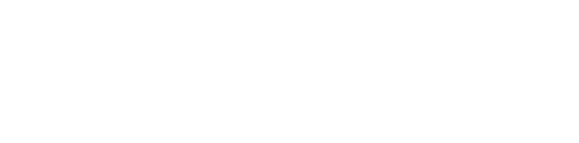 無料オプション券をプレゼント！